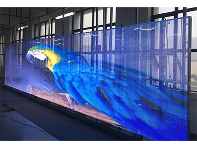 Transparent LED Screen 